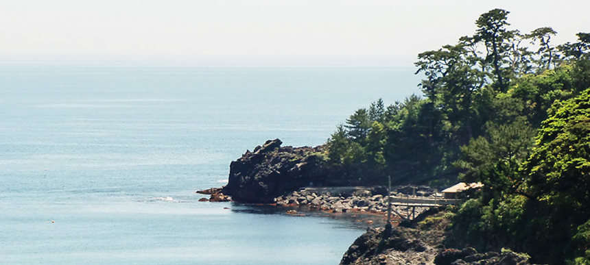 ワンちゃんと一緒 海一望の宿ピッコラルージュ 静岡県 伊豆高原 城ヶ崎海岸のペットと泊まれる宿