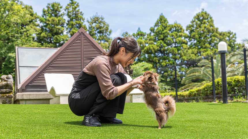 愛犬お宿 伊豆高原のドッグランで小型犬とふれあう女性