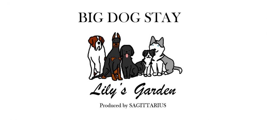 Lily S Garden リリーズガーデン 静岡県 富士山南東のペットと泊まれる宿 Lily S Garden リリーズガーデン 静岡県 富士山南東のペットと泊まれる宿