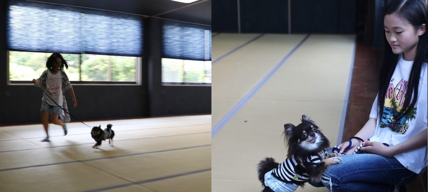 旅館エビスヤ 山形県 高畠町のペットと泊まれる宿