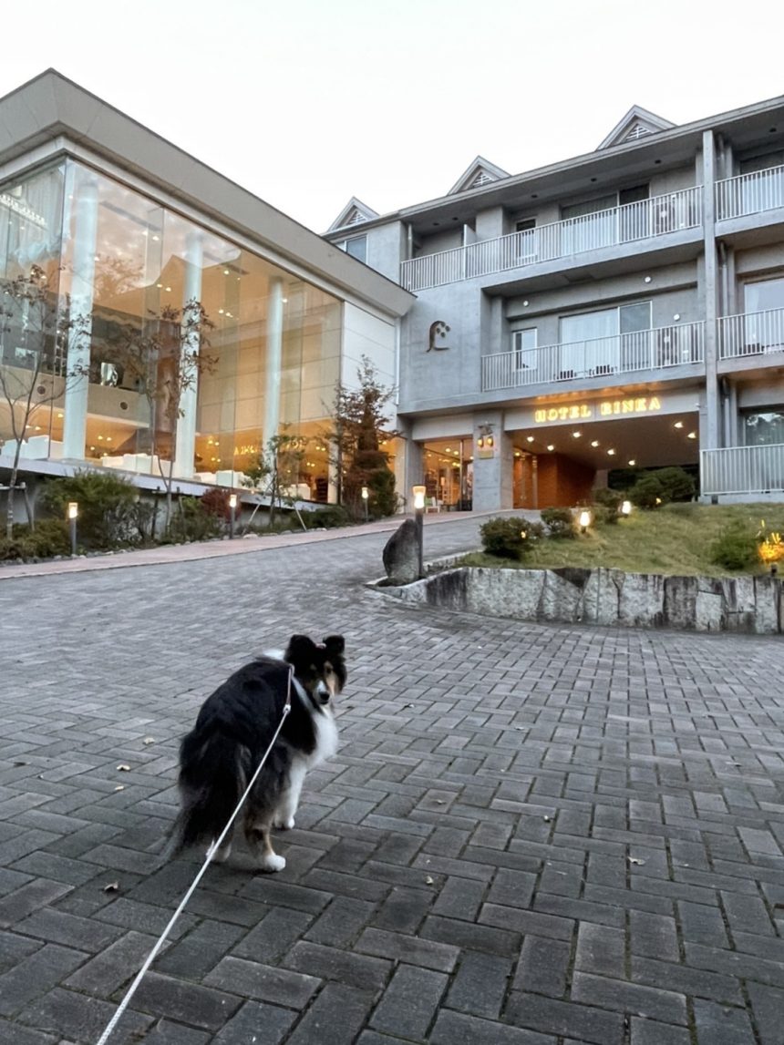 メリーさんの感想文 ホテル凛香 富士山中湖リゾート 口コミ 評判