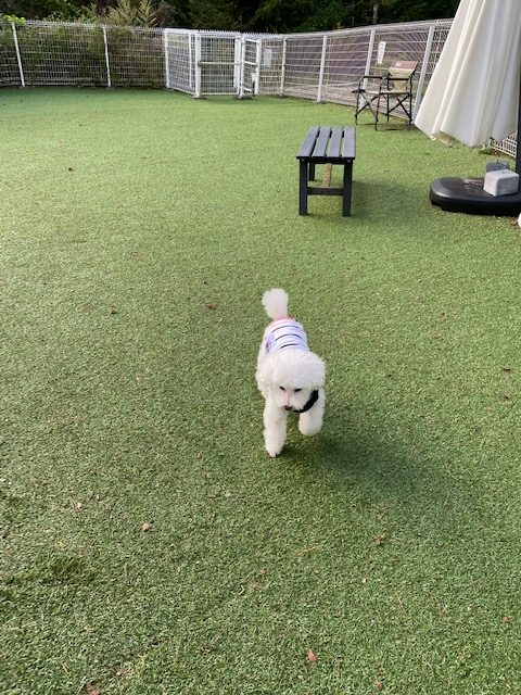 くわさんの感想文 ホテル凛香 富士山中湖リゾート 口コミ 評判