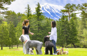 富士山を望むフジプレミアムリゾートの芝生広場で愛犬と過ごす様子