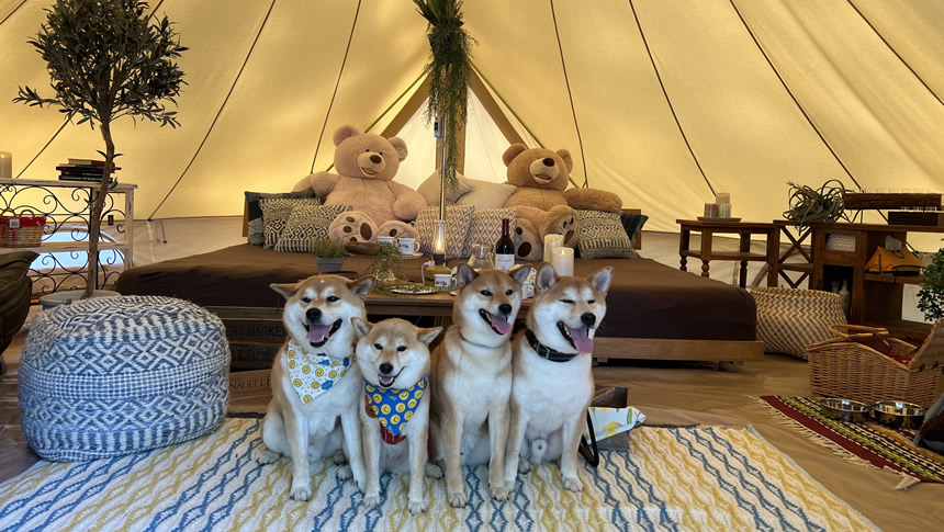 栃木・矢板】58 LOHAS CLUB RUSTIC CAMP｜愛犬と楽しむグランピング