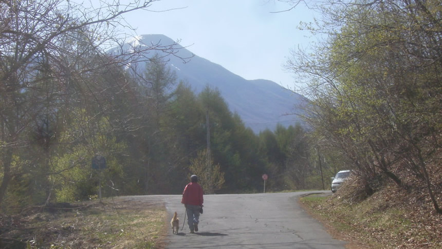 山並みを望む美し松高原の道を愛犬と散歩する宿泊者