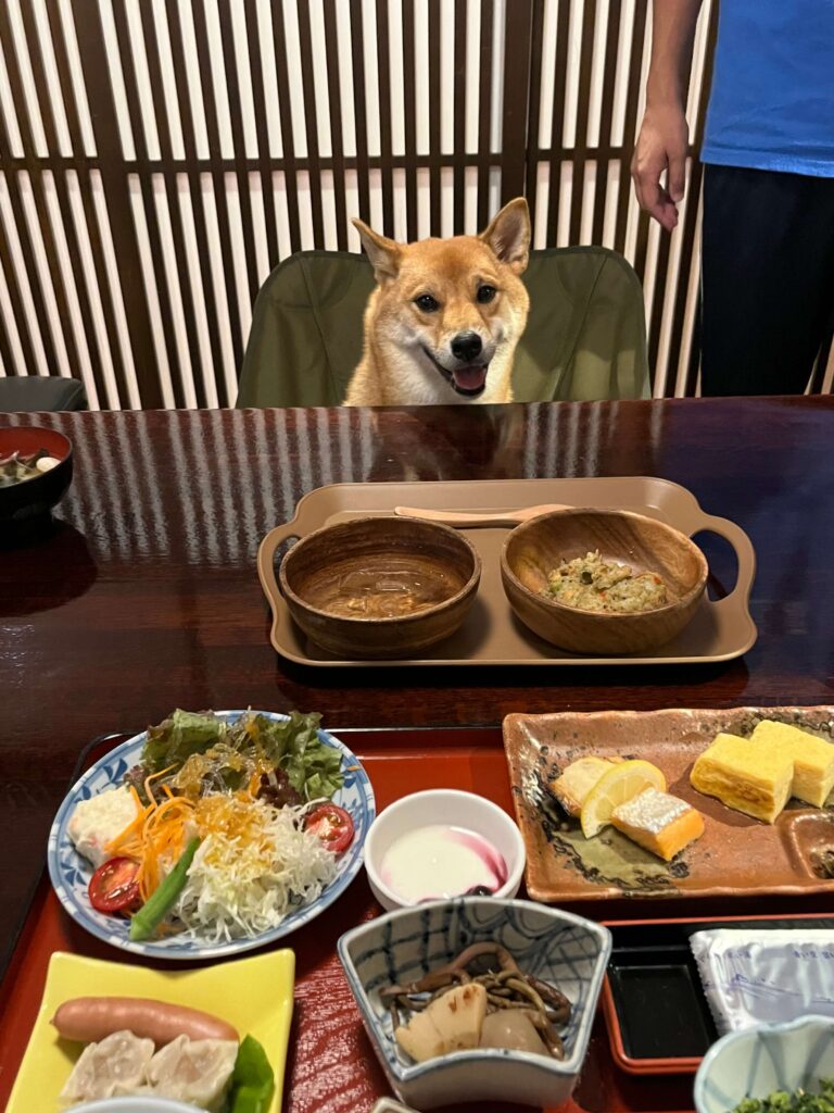 丸山 温泉 古城 館