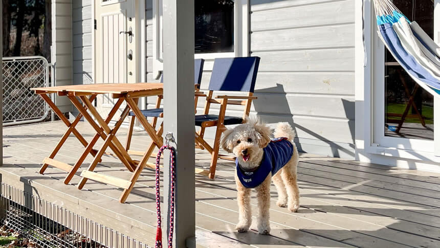 テラスでくつろぐ愛犬とログハウスの温かみある外観「Pochi‑Terrace八ヶ岳」