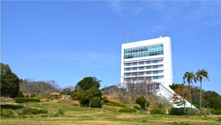 白浜 オファー 旅行 ペット