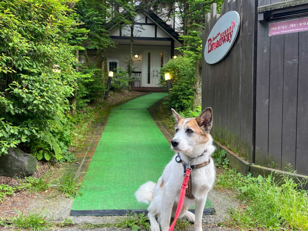 ペンション ブロードウェイ