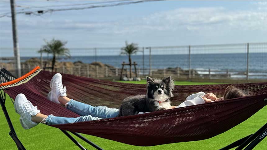 Solana千葉白浜｜オーシャンフロントの貸切トレーラーハウス