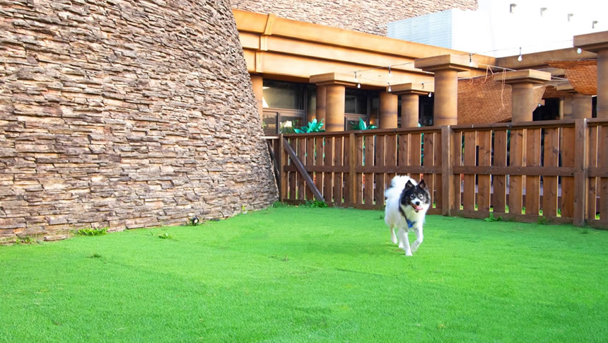 木製フェンスと石造りの建物に囲まれたプライベート空間は、安心して愛犬を遊ばせられる環境です。開放感のある芝生の庭は、ペット同伴旅行や宿泊時のひとときをより快適に演出します。|犬と泊まれる静岡県磐田・袋井・掛川の宿|グランピングコテージも併設のホテル|リバティーリゾート大東温泉