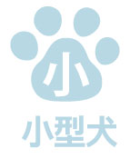 小型犬の宿泊は不可