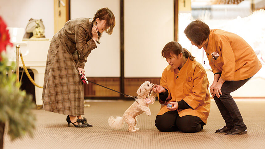 福井県のあわら温泉月香（げっか） ｜北陸初！大浴場以外ずっと愛犬と過ごせる温泉旅館には専門知識を持ったスタッフもいる犬と泊まれる温泉旅館です