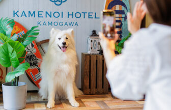 館内にフォトスポットをご用意。愛犬との楽しい旅の思い出に記念撮影はいかがでしょうか？｜犬と泊まれる千葉県鴨川の宿｜海のリゾート地らしい開放感と和のおもてなしを感じられる空間｜亀の井ホテル鴨川