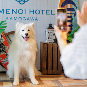 館内にフォトスポットをご用意。愛犬との楽しい旅の思い出に記念撮影はいかがでしょうか？｜犬と泊まれる千葉県鴨川の宿｜海のリゾート地らしい開放感と和のおもてなしを感じられる空間｜亀の井ホテル鴨川