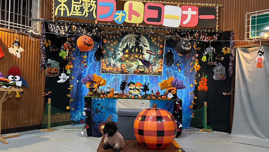 お宿本屋敷の屋内フォトコーナーで撮影する愛犬とのハロウィン写真