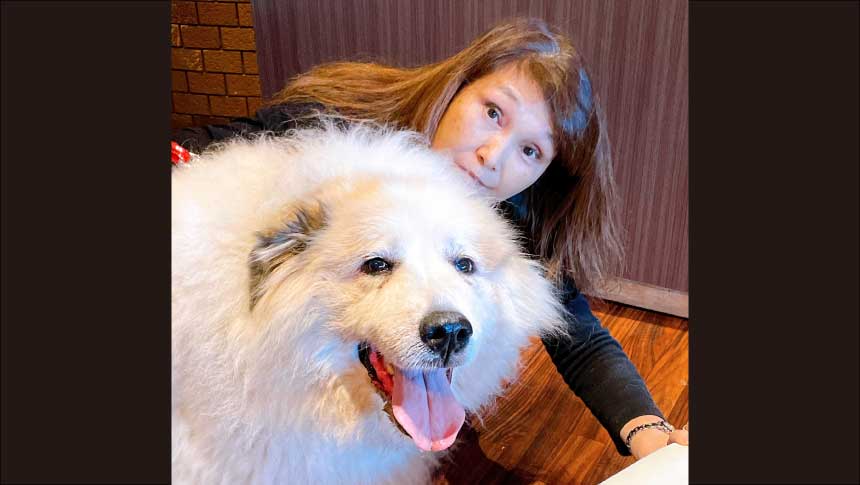 森のおやどぴるちゃーで大型犬とふれあう女性｜長野県のペットと泊まれる宿
