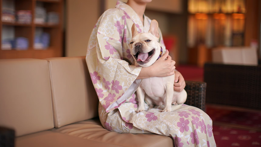 浴衣姿で愛犬とくつろげる館内ロビー｜石川県・わんわんリゾート粟津