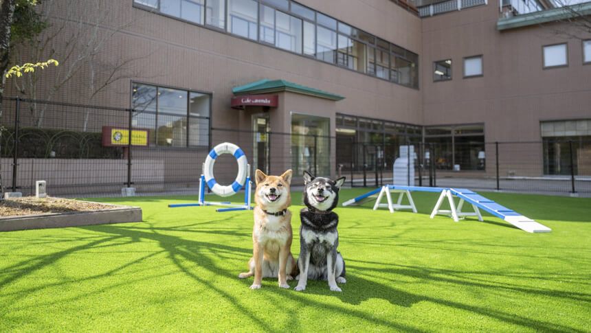 浜名湖わんわんパラダイスホテルの屋外ドッグラン|静岡県浜名湖で愛犬が遊べる専用スペース