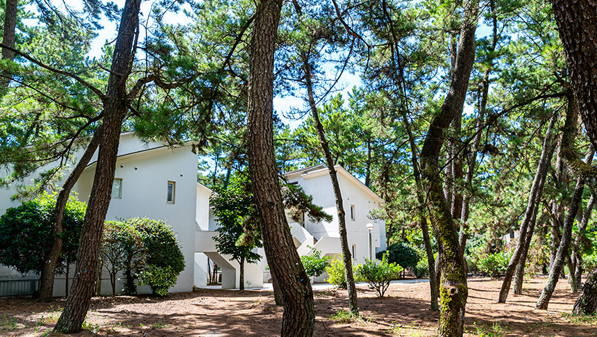 宮崎 シーガイア・フォレスト・コテージ内の夏季限定ガーデンプール。松林に囲まれたリゾート空間
