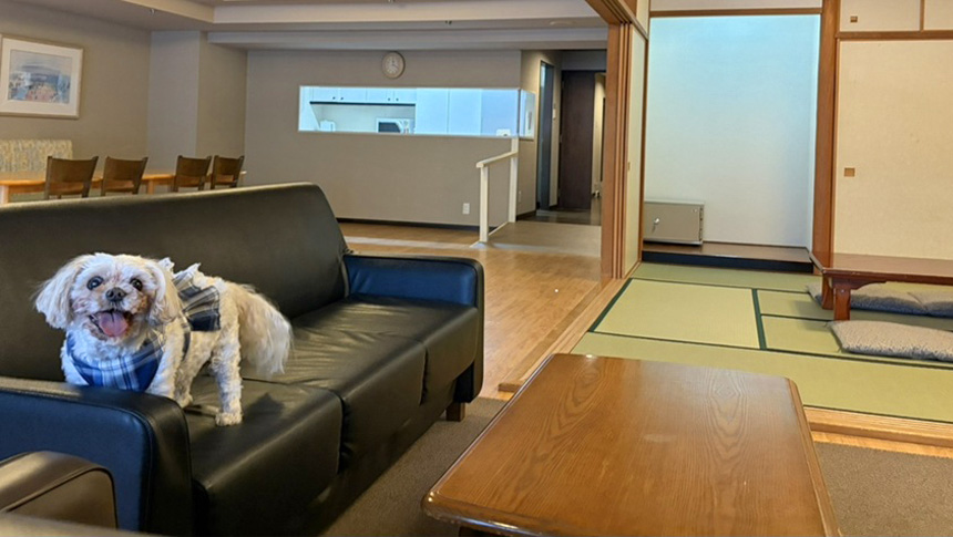 ウェルネスの森　伊東（共立リゾート）｜お部屋は120㎡(3LDK)リビング、8畳和室、キッチン、ツインベッドルームのコンドミニアムタイプ｜静岡県伊東・宇佐美・川奈