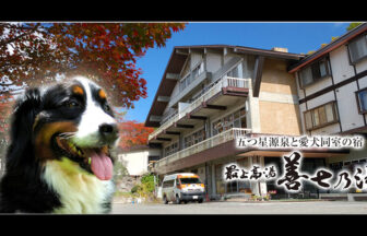 山形県・蔵王温泉にある犬と泊まれる宿「善七の湯」｜「五つ星源泉と愛犬同室の宿 最上高湯 善七乃湯」の文字とともに、紅葉が始まった木々と宿の建物、そして左側に大きく配置されたバーニーズ・マウンテン・ドッグの看板犬の合成写真