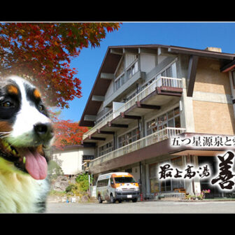 山形県・蔵王温泉にある犬と泊まれる宿「善七の湯」｜「五つ星源泉と愛犬同室の宿 最上高湯 善七乃湯」の文字とともに、紅葉が始まった木々と宿の建物、そして左側に大きく配置されたバーニーズ・マウンテン・ドッグの看板犬の合成写真