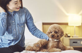 福島県・磐梯の犬と泊まれるホテル「星野リゾート 磐梯山温泉ホテル」｜ホテルの客室のベッドの上で、笑顔の女性が茶色のトイプードルを優しく撫でている様子。背景には温かい色の間接照明が灯っている。