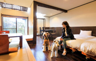 全室海側＆海を望む貸切露天風呂　サニーステップ｜静岡県伊豆・白浜海岸。和モダンスタイルの露天風呂付きのお部屋で、広々としたバリアフリー設計