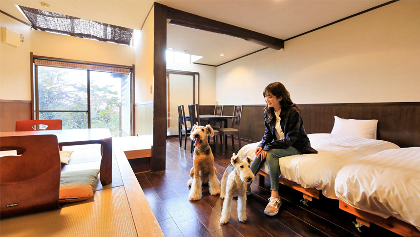 全室海側＆海を望む貸切露天風呂　サニーステップ｜静岡県伊豆・白浜海岸。和モダンスタイルの露天風呂付きのお部屋で、広々としたバリアフリー設計