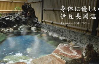 伊豆長岡温泉・去来庵松城館の露天風呂