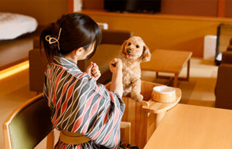 大阪府・伏尾温泉の犬と泊まれる宿「不死王閣」｜温泉宿の室内で、トイプードルの前足をとって笑顔で遊ぶ浴衣姿の女性。室内は温かみのある照明で、ペットと一緒に過ごせる落ち着いた雰囲気