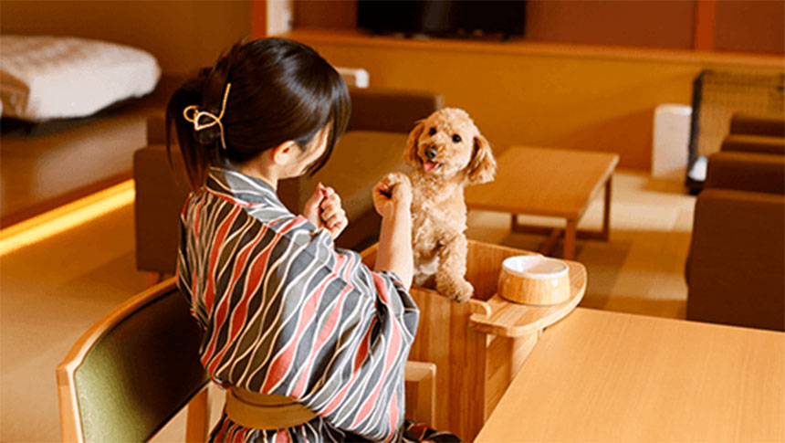 大阪府・伏尾温泉の犬と泊まれる宿「不死王閣」｜温泉宿の室内で、トイプードルの前足をとって笑顔で遊ぶ浴衣姿の女性。室内は温かみのある照明で、ペットと一緒に過ごせる落ち着いた雰囲気