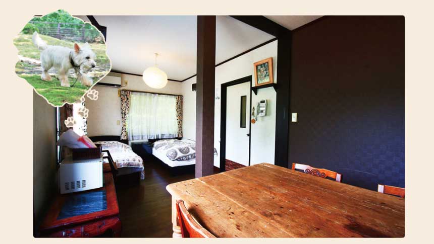 メタセコイア並木近くの「ペンションシープ」のペット同伴専用客室。全犬種・大型犬も歓迎の広々とした室内インテリア。滋賀県高島市今津町にある、愛犬家が集う森の隠れ宿の雰囲気を紹介。