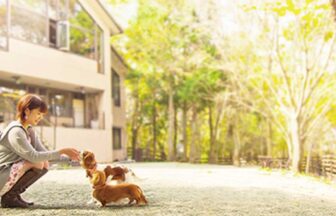 ドッグパレスリゾート阿蘇乙姫のドッグランで愛犬とふれあう女性