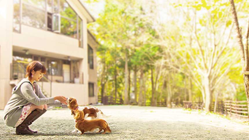 ドッグパレスリゾート阿蘇乙姫のドッグランで愛犬とふれあう女性