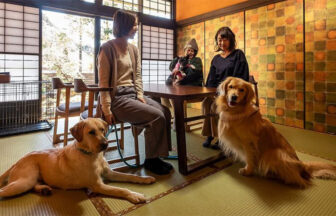 静岡県・清水の犬と泊まれる宿「紅竹（くれたけ）」｜和風旅館の客室で、3人の女性と3匹の犬がくつろいでいる写真。手前にはゴールデンレトリバーとラブラドールレトリバーが並んで座り、奥の椅子には小さな犬を抱っこした女性が座っている。部屋は畳敷きで、奥には格子窓と障子戸、左側には犬用ケージが見える。
