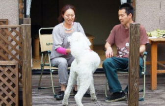 長野県・白馬にある犬と泊まれる宿「一の倉荘 別邸 白馬」のテラス席で、折りたたみ椅子に座ってくつろぐ男女。手前には大きな白いプードル犬が立っており、二人が笑顔で見守っている。