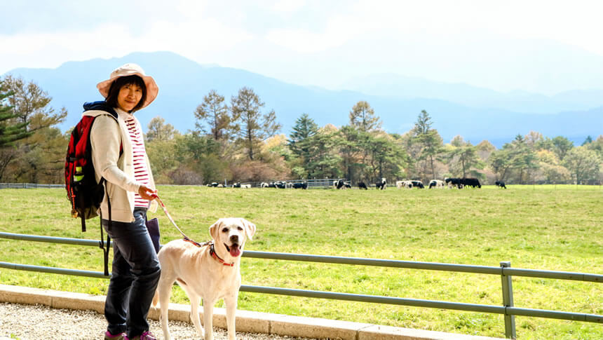 山梨県・八ヶ岳にある愛犬と泊まれる貸別荘ゆがふ「八ヶ岳」｜八ヶ岳の広大な牧場をラブラドールレトリバーと散歩する女性。周辺観光も充実。