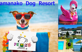 愛犬との浜名湖旅行や犬用プール、宿外観を紹介するペロはまなこのイメージ画像