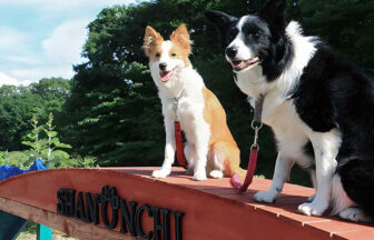 栃木県の那須・板室にある愛犬と泊まれる宿「dog’s pension しゃのんち」｜