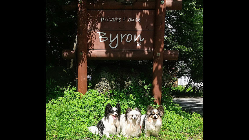 山梨県・山中湖の愛犬と泊まれる宿「プライベートハウス バイロン」の木製看板前で並んでポーズをとる3匹のパピヨン(愛犬と同伴宿泊)