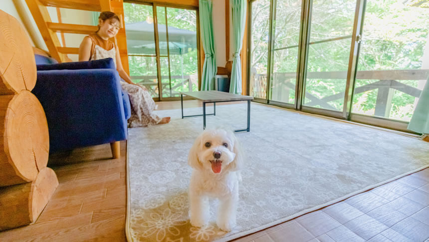 ゆがふ岐阜のログハウスで愛犬とくつろげる明るいリビング