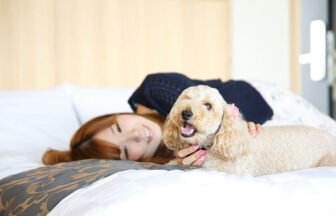 滋賀県・琵琶湖の愛犬と泊まれる宿「ホテルビワドッグ」ベッドで愛犬（トイプードル）とリラックスする飼い主