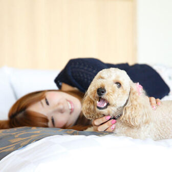 滋賀県・琵琶湖の愛犬と泊まれる宿「ホテルビワドッグ」ベッドで愛犬（トイプードル）とリラックスする飼い主