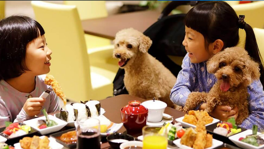 レジーナリゾート鴨川で愛犬と一緒に食事を楽しむ家族