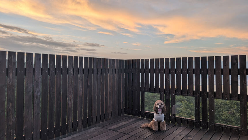 INU邸 SKY TERRACE SUWA｜長野県・諏訪の愛犬と泊まれるコテージ
