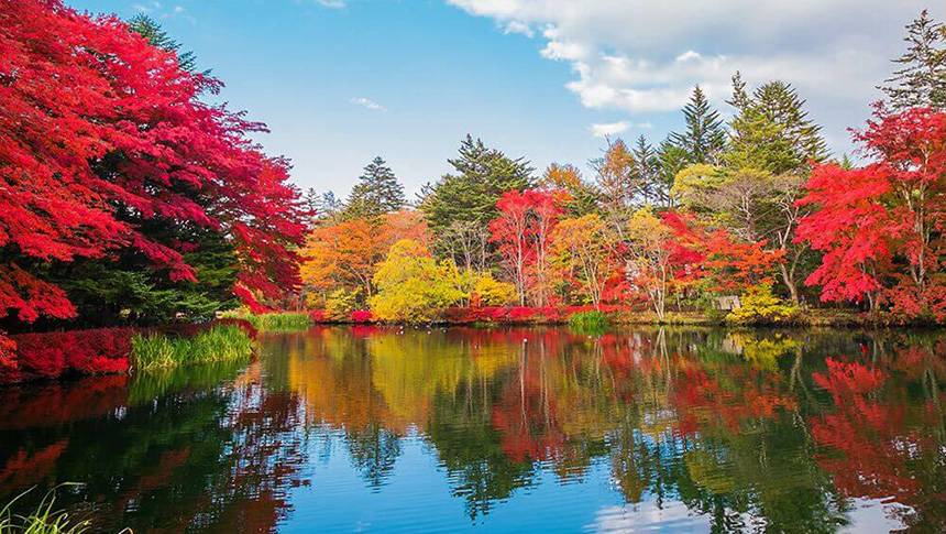 レジーナリゾート旧軽井沢周辺で楽しめる軽井沢の美しい紅葉風景