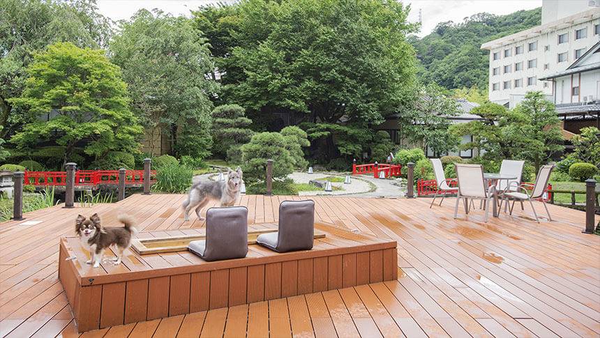 栃木県・鬼怒川にある愛犬と泊まれる温泉宿「鬼怒川絆」の広大な日本庭園が見渡せるウッドデッキと足湯・テラス席。愛犬と一緒にのんびり過ごせるスペース