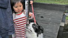 1333-slider09-yamagata-tsuriyado-choujayashiki-customers-and-dogs